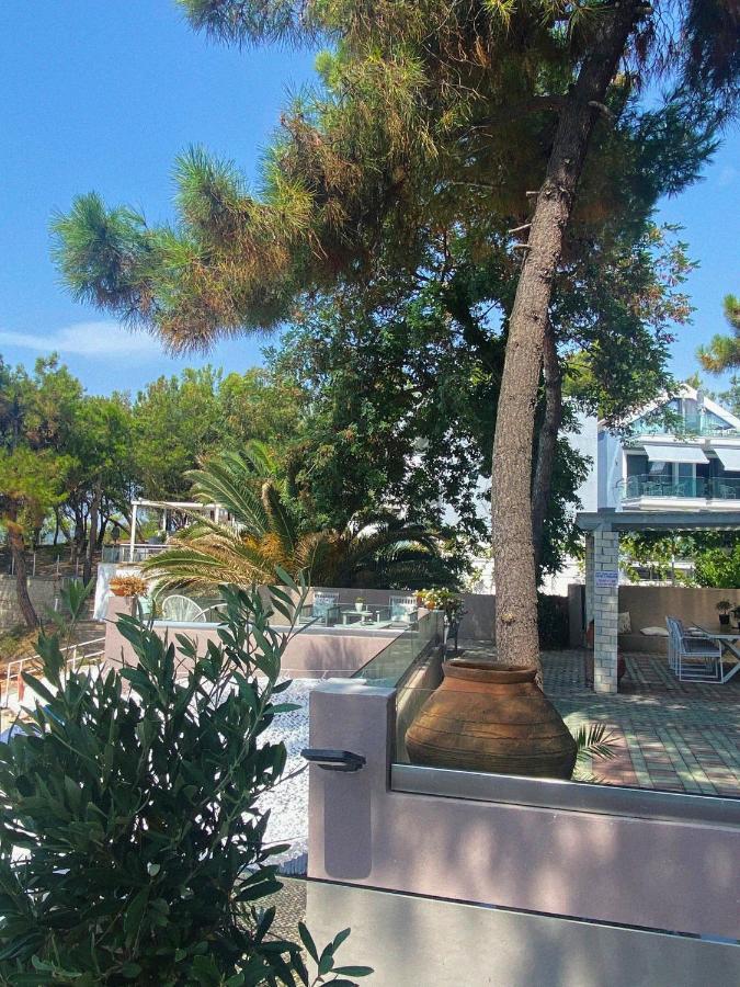 Ktima Papaoikonomou 2 Apartment Potos Luaran gambar